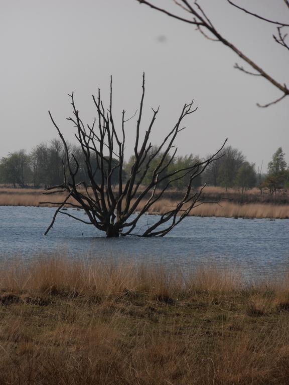 Gezond Boeren Verstand Dalerveen Exteriör bild
