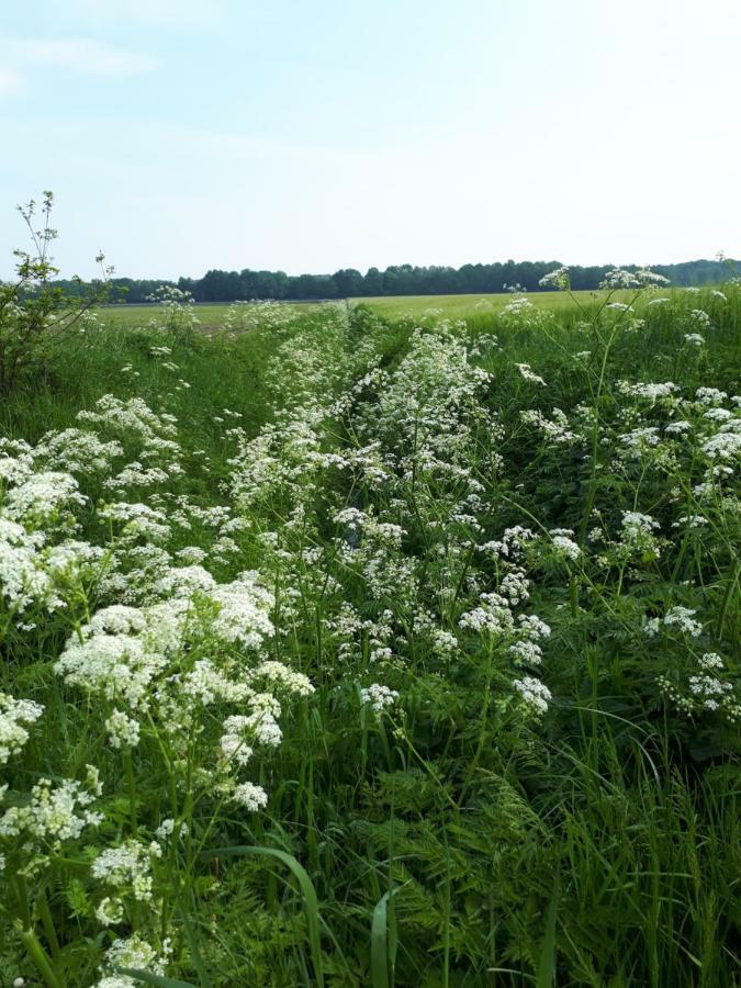 Gezond Boeren Verstand Dalerveen Exteriör bild